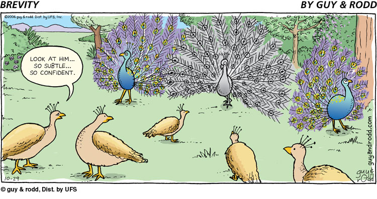 brevity